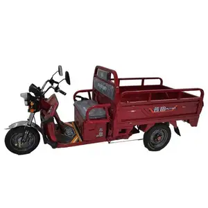 Hot Sale electric Cargo South Africa Tricycle tricycles manufacturer in china