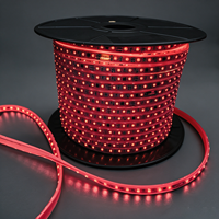 Tira de Luces LED RGB Direccionables IP67 a Prueba de Agua, AC110V 220V/DC24V, con WiFi y DMX, Sincronización Musical por Aplicación, para Paisajismo