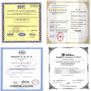 Yetişkinler için bitkisel probiyotik kapsüller yüksek probiyotikler içeriği sağlık gıda sınıfı diyet takviyesi 60 kapsül/şişe için değil - Product Image 6