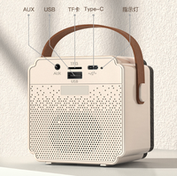 Haut-parleur portable de haute qualité 8 pouces, double haut-parleur, batterie 1200 mAh, fonction d'enregistrement sonore HD, cadeau promotionnel, karaoké