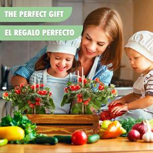 Urban Leaf Indoor Herb Garden Starter Kit con maceta de madera para uso doméstico o al aire libre incluye plántulas de tomate cherry - Product Image 5