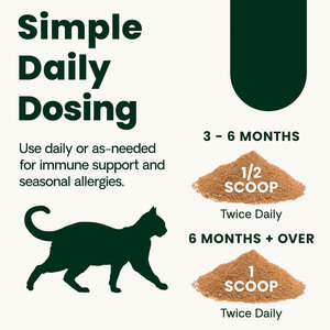<span class=keywords><strong>Poudre</strong></span> de <span class=keywords><strong>Lysine</strong></span> <span class=keywords><strong>pour</strong></span> la Santé Immunitaire des Chats et des Chatons - Complément de Soutien Nasal Immunitaire, Soulage les Éternuements, le Nez qui Coule et les Yeux Larmes - Product Image 5