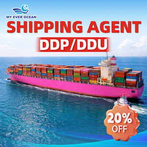 Professional Shipping Agent DDP/DDU/FOB FCL LCL Express Logistics Services From China to USA UK Canada Saudi Arabia - Product Image 1
