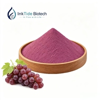 Pure natuurlijke voedingsmiddelenkwaliteit sap 99% druivenfruitpoeder