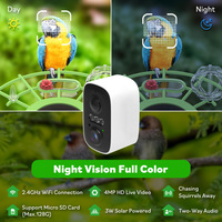Nouveau style Répulsif Souris Énergie Solaire Faible Consommation Caméra Haute Définition IA Intelligente Identification Oiseaux Observation Extérieure Mangeoire à Oiseaux