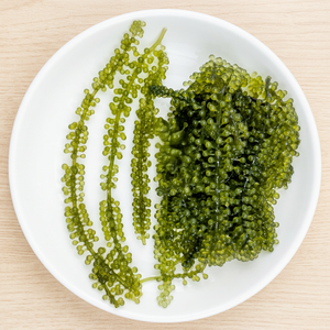 Uvas de Mar Deshidratadas Premium 100% Caulerpa Lentillifera envasadas al vacío de Vietnam - para consumo directo - Product Image 1
