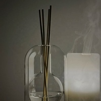 Verre Transparent de luxe pour bouteille de diffuseur de roseau avec 8 bâtonnets de diffuseur de parfum d'arôme vide bouchon à vis d'étanchéité