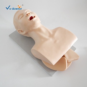 Modèle d'intubation de trachée humaine modèle d'intubation pour infirmière mannequin de soins infirmiers en science médicale - Product Image 3