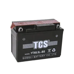 YTX6.5L-BS 12V6.5AH Xe Máy Pin