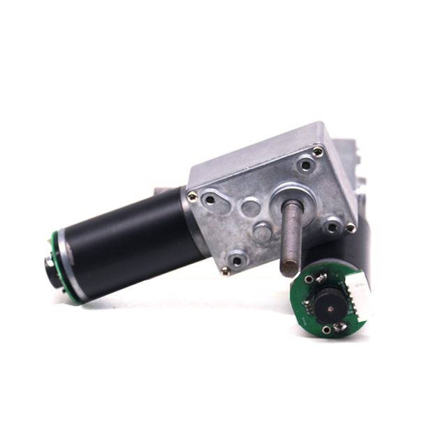 31zy Encoder 24 Volt DC Worm Gear Motor with 18 & 500rpm 5840 Gearbox Permanent Magnet Construction Brush Commutation
