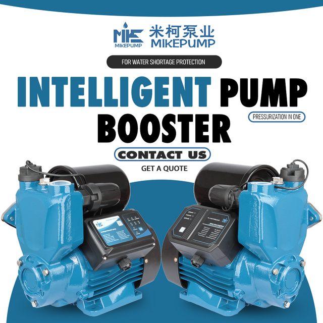 300W Silent High Pressure Energy Saving Intelligent Digital Display Smart Self Priming Pump 220V 50/60Hz Household Use Casting