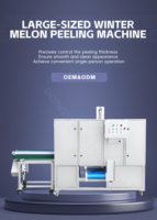 Commerciële machine voor het schillen en ontpitten van jackfruit, ananas, pomelo, jong fruit, raap, papaja en wintermeloen.