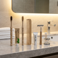 Kit d'articles de toilette jetables personnalisés avec logo pour hôtel, ensemble complet d'accessoires de salle de bain pour hôtels étoilés, fournitures pour voyages
