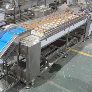 Vegetable and Fruit Roller Brush Washer Tomato Citrus Apple Tomato Roller Brush <b>Cleaner</b> Machine with Pressure <b>Spray</b> - Product Image 4