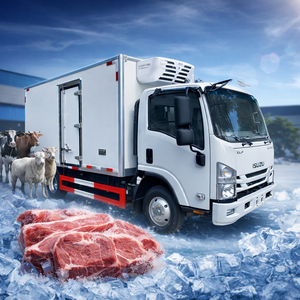New Magitruck 6tons Refrigerated Freezer Van Truck Diesel Hydraulic Lifting LHD RHD Small Trucks -18C Cold Chain - Product Image 3