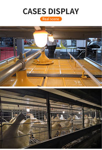 La <span class=keywords><strong>mejor</strong></span> luz LED regulable para aves de corral de 1,8 W en ranura para jaula de cultivo de cerdos y pollos - Product Image 5