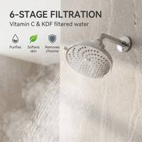 Pomme de douche filtrante premium à 6 étapes avec vitamine C et KDF 55 pour la purification de l'eau dure et une peau plus saine