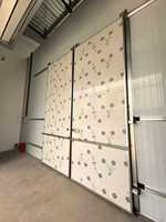 Portes coulissantes en acier inoxydable pour entrepôts frigorifiques, chambres froides isolées et portes coulissantes doubles pour la logistique de la chaîne du froid