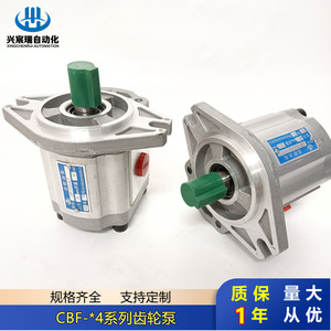 Pompe à engrenages CBF série F4 en alliage d'aluminium 20MPa pour distribution d'huile hydraulique, installation par bride, arbre vertical, entraînement électrique - Product Image 3