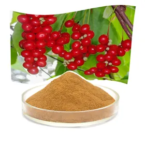 Vente en gros d'extrait de baies de schisandra en vrac Schizandrin A 2%-5% poudre d'extrait de schisandra chinensis