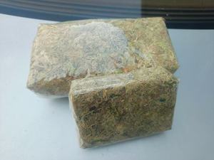 Mousse de Sphagnum à Fibres Longues à Prix de Gros, Bloc de Tourbe Compressé Personnalisé pour Substrat d'Aquarium et Plantes d'Élevage de Reptiles - Product Image 4