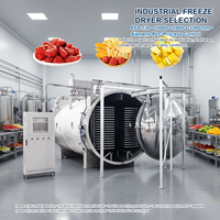 FFD-150 Grote Industriële Vriesdroogmachine Capaciteit Vacuüm Lyofilisator voor Voedsel Fruit Groente Vlees Huisdierenvoer