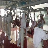 Abattage halal 60 têtes par heure Équipement d'abattoir de mouton Ligne d'abattage d'agneau d'abattoir