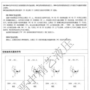 Dbw10B 1 5x 315W220 Soupape de décharge pour système hydraulique, contrôle de pression de trop-plein, fonte, 250 L/min, 315 bars - Product Image 2