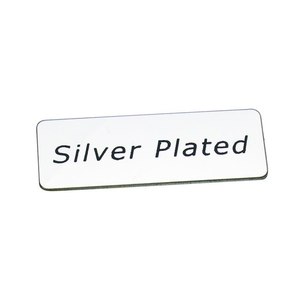Assiette décorative plaquée argent de la marque Plate Brand - Product Image 1