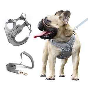 Customized New <b>Small</b> and Medium-sized <b>Dog</b> Reflective Anti-breakaway Vest-style <b>Dog</b> Chest Strap <b>Dog</b> Leash - Product Image 1