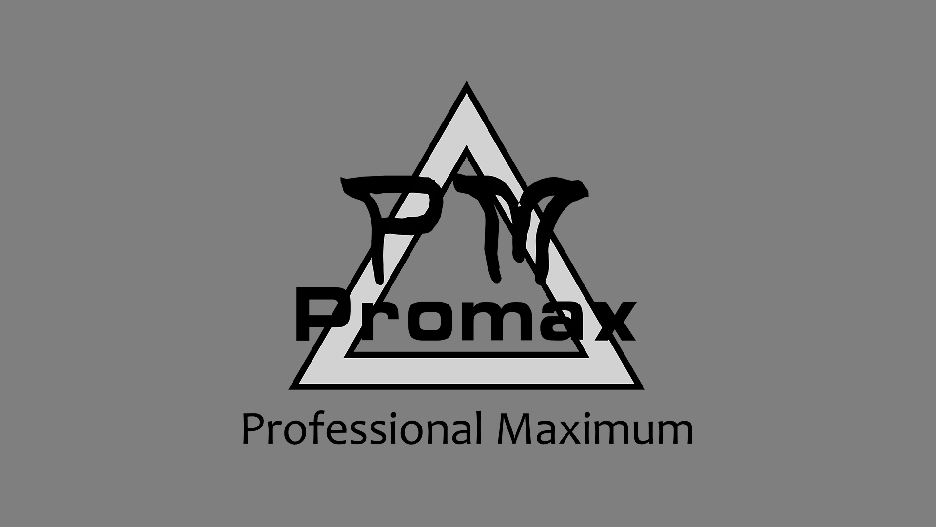 Guangdong Promax Sports Equipment Co., Ltd. logo