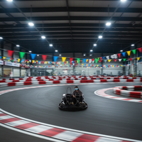 Kart électrique professionnel à quatre roues pour adultes avec transmission par chaîne et freins à disque - Kart de course tout-terrain 4x4 pour les sports