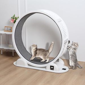 Nieuw Binnen 41 Inch Grote Kat Huisdier <span class=keywords><strong>Fitness</strong></span> Speelgoed Oefen Wiel Stappenteller Loopwiel Sport Roller Kat Loopband Loopband - Product Image 2