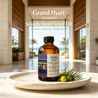 CAOH0217 Huile parfumée Grand Hyatt, parfum oriental gourmand, huile aromatique longue durée pour hall d'hôtel, diffuseur de parfum commercial