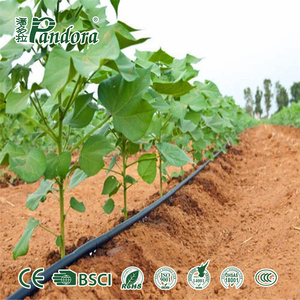 Système d'irrigation <span class=keywords><strong>goutte</strong></span> <span class=keywords><strong>à</strong></span> <span class=keywords><strong>goutte</strong></span> agricole OEM/ODM pour un hectare - Ruban et tuyaux d'irrigation <span class=keywords><strong>goutte</strong></span> <span class=keywords><strong>à</strong></span> <span class=keywords><strong>goutte</strong></span> en plastique - Product Image 5