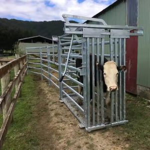 <span class=keywords><strong>2025</strong></span> gia súc mới xử lý sản phẩm hàng rào lưới mắt cáo & loại cổng - Product Image 5