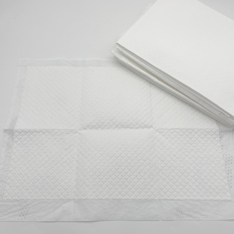 Super Absorbent Pet Diaper Dog Training