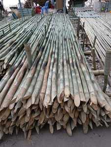 Bulk Bamboo Poles Construction Structural <b>Canes</b> Large Diameter For Commercial Building Use - Product Image 5