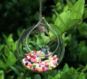 Macetas colgantes Terrarios de vidrio Plantas de aire redondas Contenedores de pared Suculentas Globo de vidrio Orbes para regalo de decoración de Navidad - Product Image 2