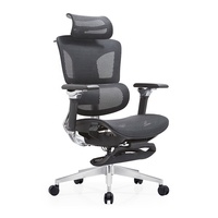 Chaise de bureau ergonomique multi-positions avec dossier lombaire en maille, accoudoirs à levage fluide, résistante aux chocs et repose-pieds intégré en maille