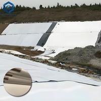Toile paysagère non tissée blanche en PET Spunbond anti-mauvaises herbes pour la construction routière au Chili
