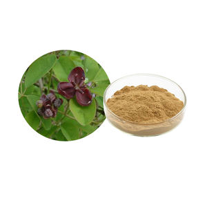 Extracto Natural de <span class=keywords><strong>Akebia</strong></span>, Extracto de Caulis Clematidis Armandii, Extracto de Caulis Akebiae en Polvo 20:1 - Product Image 1