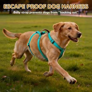 Popular High Quality Customized Logo Nylon Pet <b>Harness</b> Tactical <b>Dog</b> <b>Harness</b> Collar Set With Aluminum Buckle Soft Neoprene - Product Image 3