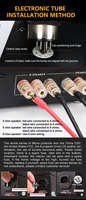Amplificateur à tubes MONA High Power KT88 Push-Pull 56wx2 Audiophile Hifi 2.0 canaux, processeur audio domestique, amplificateur à tubes 220v