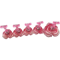 Nouveau support professionnel en plastique pour présentation d'ongles, 18 couleurs, effet aurore irisé, magnétique, base fleur papillon, support d'entraînement