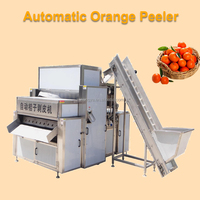 Industriële Hoge Kwaliteit Automatische Appelpeer Sinaasappelschiller Perzik Schilmachine
