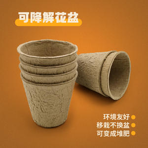 Kit de Cultivo Grow It Sunroom Mini, Juguete Educativo de Ciencia para Niños Mayores de 6 Años, con Semillas y Macetas, Set de Invernadero de Plástico para Escritorio - Product Image 4