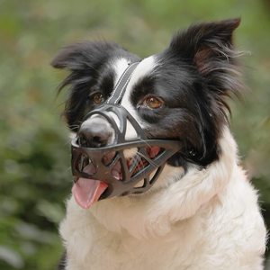 <span class=keywords><strong>Bozal</strong></span> Ajustable para Perro de TPR con Cierre de Hebilla, Multicolor, Transpirable, Ecológico, en Varios Tamaños S-XL - Product Image 1