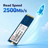 M.2 NVMe SSD 1TB PCIe 3.0 Gen3 2500MB/s Baca 2000MB/s Tulis Internal Solid State Drive Kecepatan Tinggi untuk PC Laptop