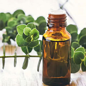 Huile essentielle pure rafraîchissante de luxe personnalisable, directement de l'usine, parfum d'ambiance pour la maison, <span class=keywords><strong>bienfaits</strong></span> pour le massage corporel, apaisement - Product Image 4